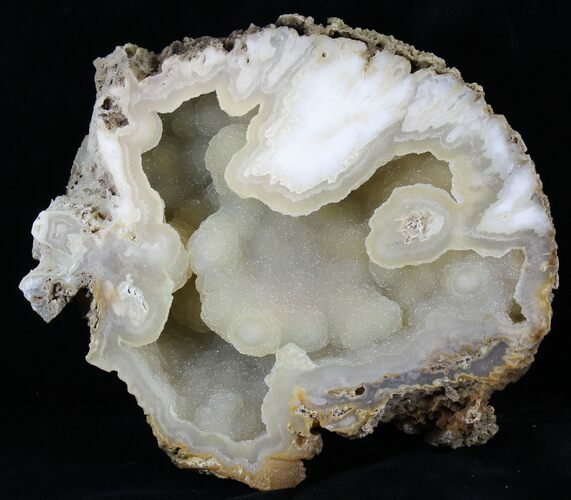 Agatized Fossil Coral With Druzy Quartz - Florida #30701